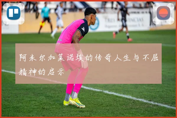 阿米尔加莱诺埃的传奇人生与不屈精神的启示