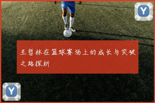 王哲林在篮球赛场上的成长与突破之路探析