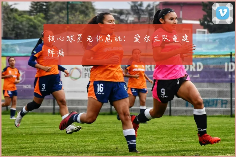 核心球员老化危机：爱尔兰队重建阵痛